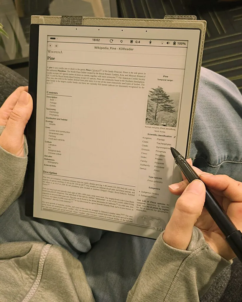 Someone seated, holding an e-ink tablet and stylus, reading the English Wikipedia article on Pine in KOReader, with the contents outline and the tree's taxonomy infobox visible.