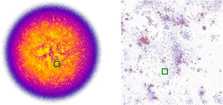 Two NOMAD Projection views of multilingual Wikipedia: a dense circular map colored by density with a small region boxed in green, and that region enlarged as sparse clusters on white.