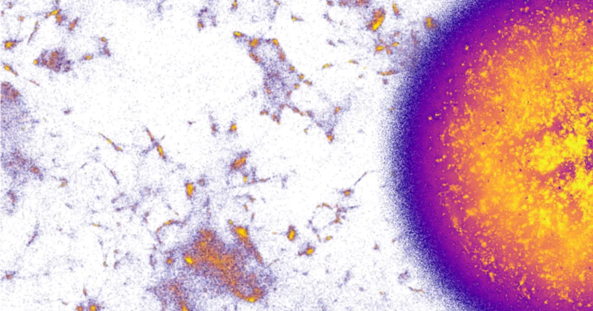A NOMAD Projection map of multilingual Wikipedia: a dense sphere of yellow and purple points at right, with sparse clusters scattered across white space at left.