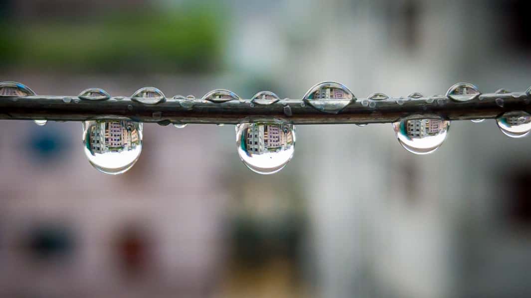 picture of a branch with dew droplets reflecting apartment buildings
