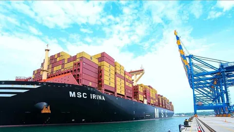 photograph of the largest container ship on earth, the MSC Irina, docked at a port with a blue cargo loading crane on the right.